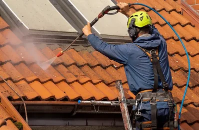 Démoussage et hydrofuge de toiture à Boudes